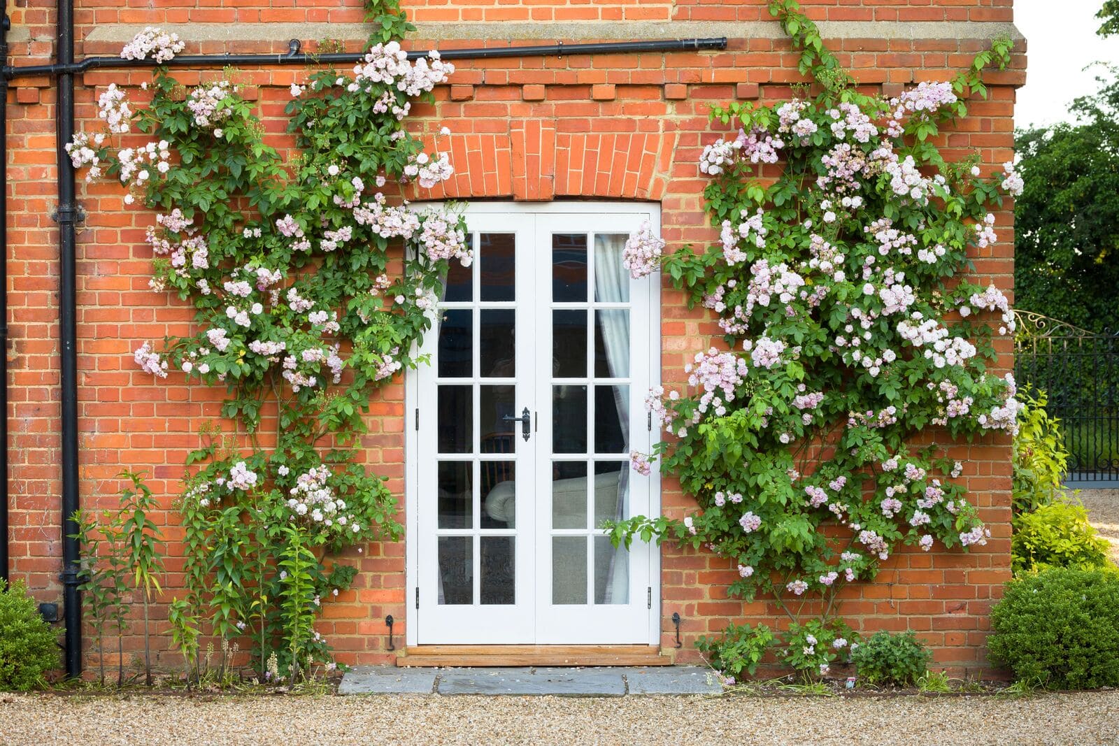 Finestra stile inglese Oknoplast: caratteristiche e design
